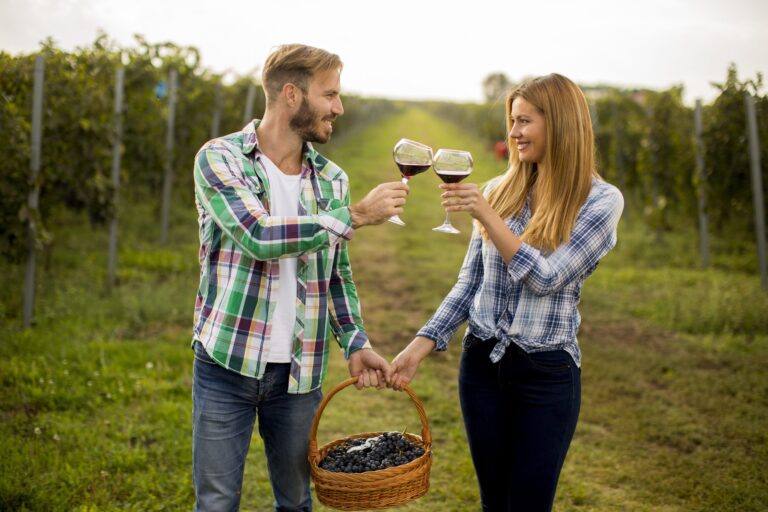 Wine tasting in the vineyard A man and a woman in flannel shirts hold a basket of grapes