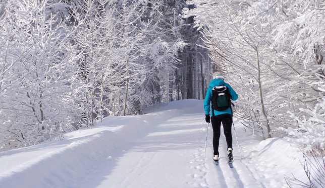 Michigan inn and lodge