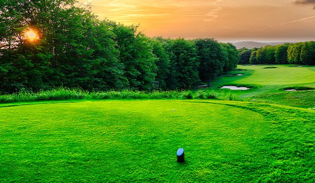 michigan-lodge-and-inn-ktchen michigan inn