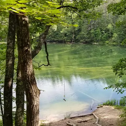 pigeon-river-state-forest-square-468c82e6833edb4de24c635670cb0dc7-67ae7580f22fc pigeon-river-state-forest-square-468c82e6833edb4de24c635670cb0dc7-67ae7580f22fc