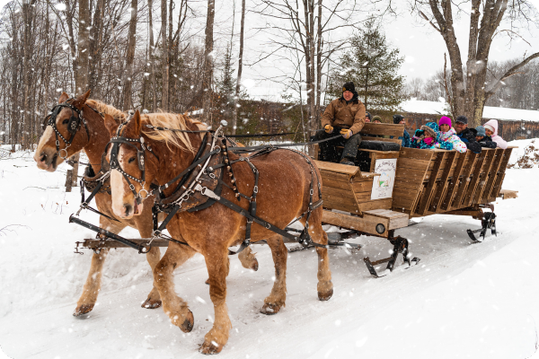 treetops-winter-sleigh-rides-2025