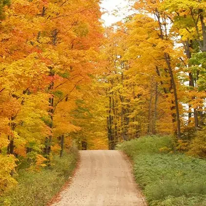 driving-tours-square-6b883913ff96f5ad8107d006697a55db-67ae757caccb2 driving-tours-square-6b883913ff96f5ad8107d006697a55db-67ae757caccb2