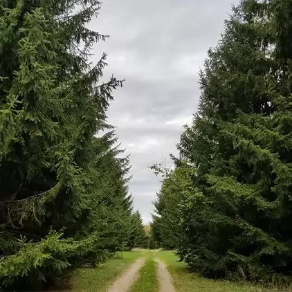 groen-nature-preserve-square-778b02ddd64a717e19b313cb9278fe89-67ae757e0b907 groen-nature-preserve-square-778b02ddd64a717e19b313cb9278fe89-67ae757e0b907