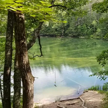 pigeon-river-state-forest-square-468c82e6833edb4de24c635670cb0dc7-67ae7580f22fc pigeon-river-state-forest-square-468c82e6833edb4de24c635670cb0dc7-67ae7580f22fc