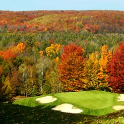 scenicvistas-e1724084552517-square-e4738b2e05cf1326a2fde530ee2a9685-67ae75902c955 scenicvistas-e1724084552517-square-e4738b2e05cf1326a2fde530ee2a9685-67ae75902c955